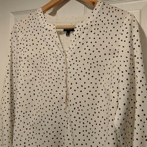 Talbots Small Dot Blouse